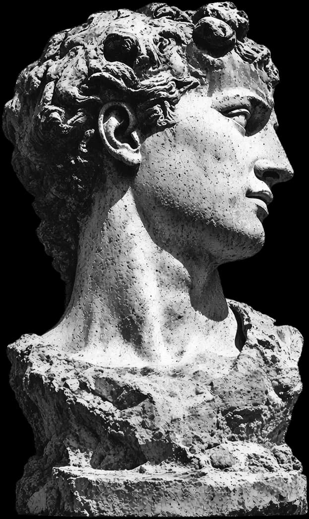 Classical marble bust in profile